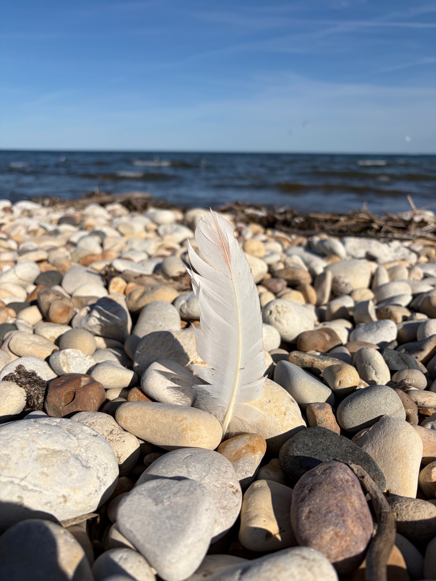 A single white feather among pale stones at the edge of a Great Lakes shore.